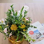 Lighthouse Golf Private - And Blue