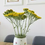 Lighthouse Golf Private - And Blue *