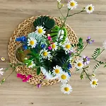 Lighthouse Golf Private - And Blue *