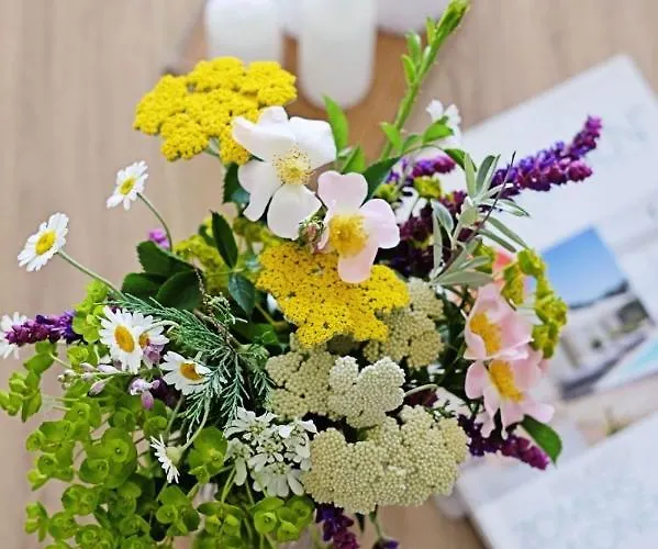 Holiday home Lighthouse Golf Private - And Blue Balchik