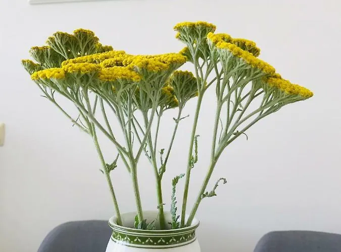 Lighthouse Golf Private - And Blue *